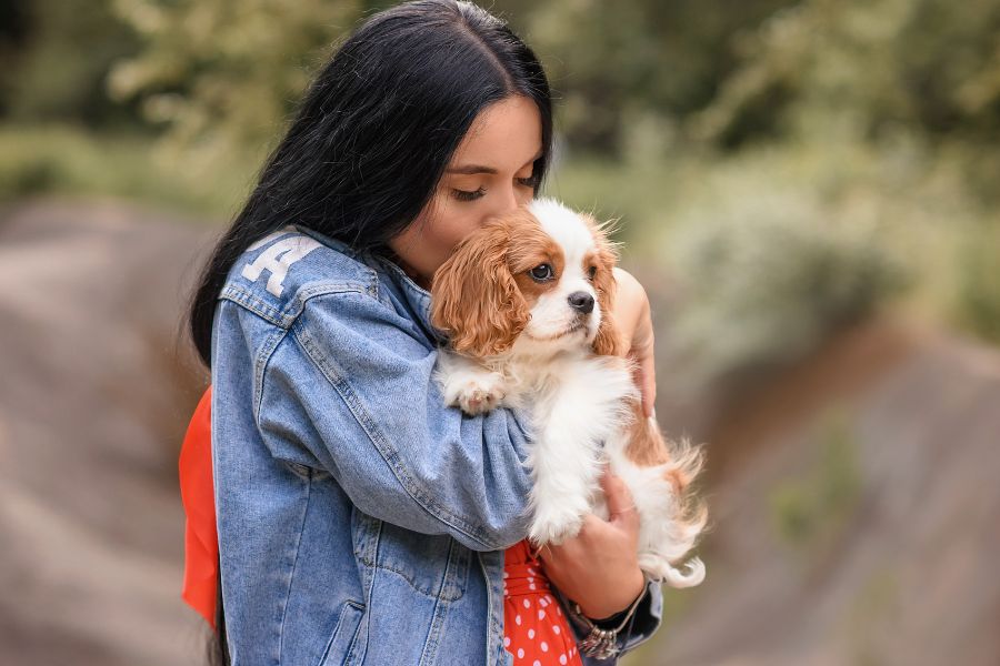 strengthen bond with dog